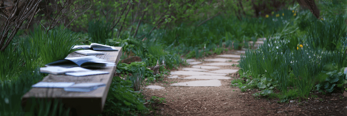 A peaceful garden path in early spring, with a wooden bench nearby. A few open journals rest gently on the bench, suggesting an unfinished conversation with curiosity.