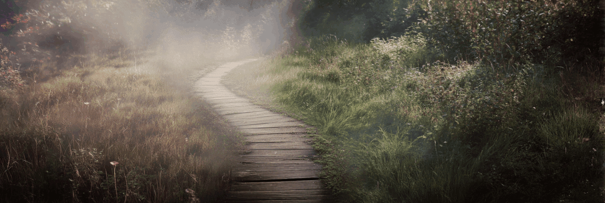 A wooden path winds through a foggy meadow, bordered by tall grass and dappled sunlight. The scene feels like a quiet moment between clarity and mystery.