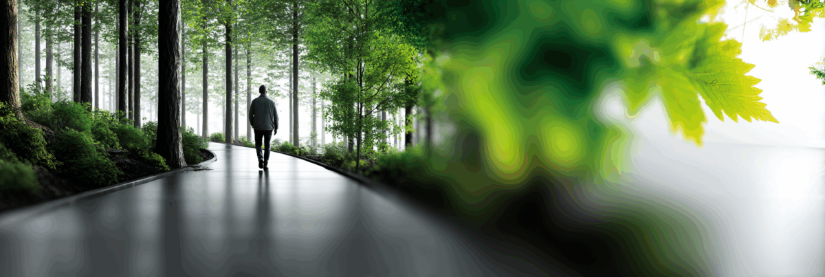 A solitary figure walking down a smooth path through a lush green forest, with tall trees on one side and bright leaves in focus on the other—suggesting exploration and self-directed learning.