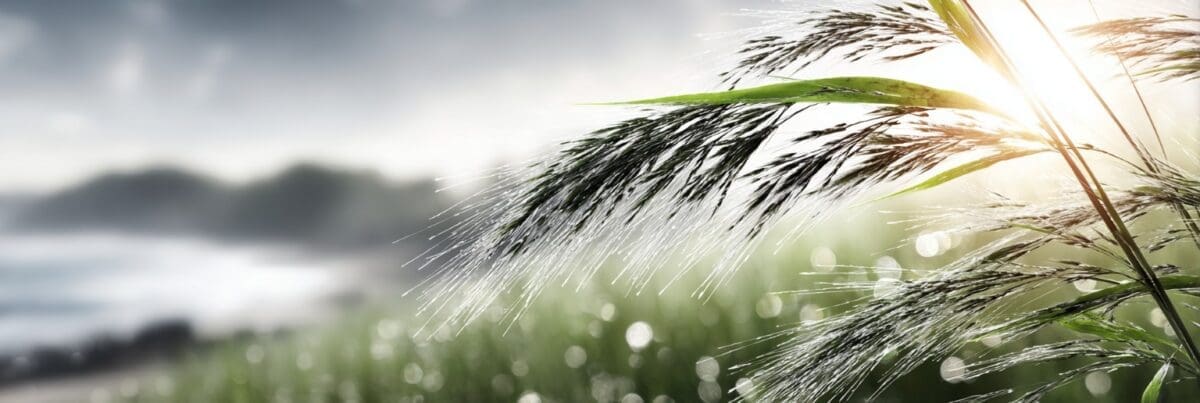 Tall grass sways in soft sunlight near the coast, each blade catching the light in a calm, rhythmic breeze.