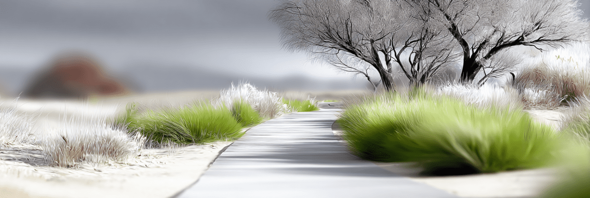 A long wooden pathway curves through a quiet winter landscape with pale sand, bright green grasses, and bare frosted trees under a soft gray sky.