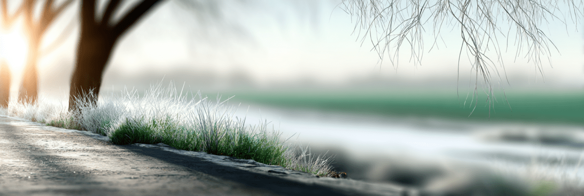 Soft winter light along a quiet path beside frost-covered grass, with bare tree branches framing a calm, open landscape.