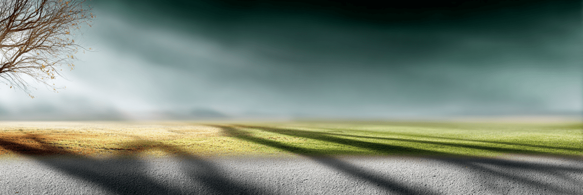 Wide open field under a soft, moody sky, with long shadows stretching across grass and a bare tree at the edge of the frame.