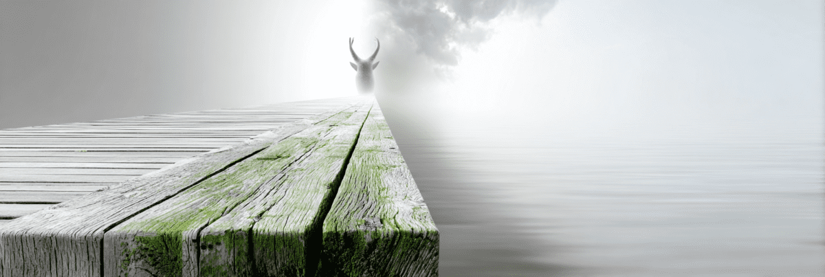 A minimalist, cinematic wide shot of a weathered wooden pier extending toward a dense, luminous white fog. The foreground highlights the rough, mossy texture of the wood grain, while the end of the pier dissolves into a soft, hazy horizon where a faint, ethereal silhouette of a deer appears in the distance.